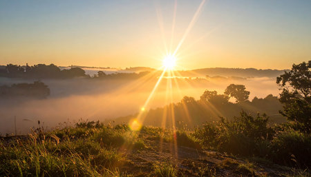 Sunrise over the fog in the morning at Phu Kradueng National Park, Loei, Thailandの素材