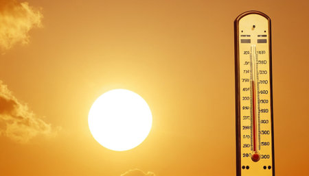 Black wood texture background, wood planks. Grunge wooden wall patternの素材