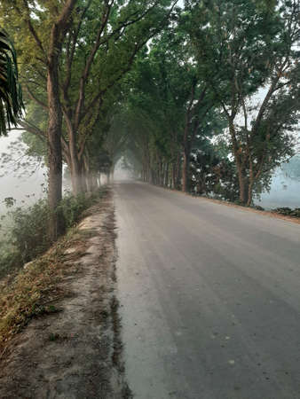 Street photographyの写真素材