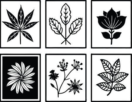 Set of black and white silhouettes of leaves and flowers. Vector illustrationのイラスト素材