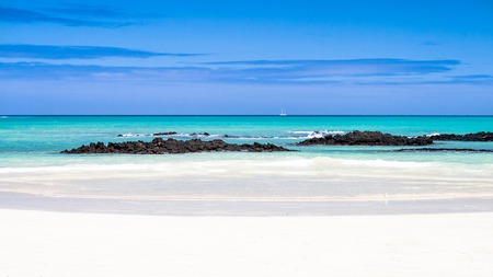 Typical Galapagos beach with white sand and  emerald sea  El Garrapatero beach, Santa Cruz, Galapagos Islandsの写真素材