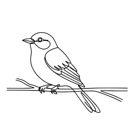 Bird on a branch. Hand drawn vector illustration in doodle style.のイラスト素材
