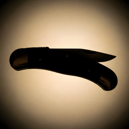 A dark silhouette of a single eggplant is shown against a softly lit, textured, and vignetted background.の素材