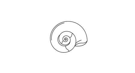 A minimalist black and white line art illustration of a coiled snail shell, presented on a clean white background.の素材
