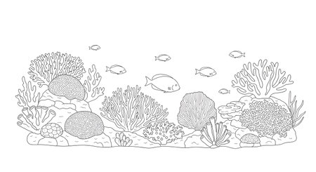 A detailed line drawing depicts a bustling coral reef teeming with diverse marine life and intricate coral formations.の素材