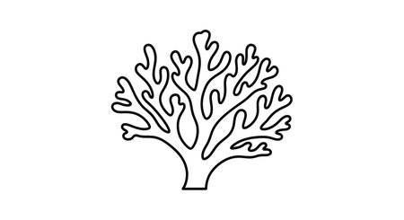 A simple black and white line drawing depicts a branching, tree-like structure resembling coral or a sea fan against a plain background.の素材