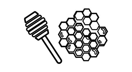 A black and white line drawing of a honey dipper next to a cluster of hexagonal honeycomb cells.の素材