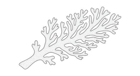An intricate black and white line drawing depicts a complex, branching organic structure resembling a plant or coral with many fine details.の素材