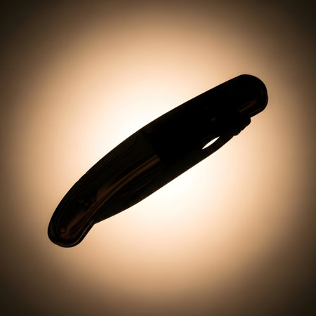 A dark, elongated, curved object is silhouetted against a soft, warm, and slightly blurred background with a halo effect.の素材