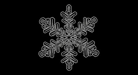 A detailed close-up of a single, complex snowflake, showcasing its unique crystalline structure and delicate icy formations on a dark backdrop.の素材