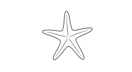 A minimalist black and white illustration of a starfish viewed from above, showcasing its five pointed arms.の素材