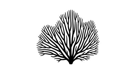 A detailed black and white illustration of a sea fan coral, showcasing its intricate branching structure against a white background.の素材