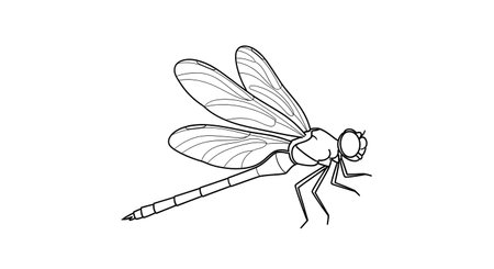 A black and white sketch of a dragonfly with intricate wing details, resting on a thin branch against a white background.の素材