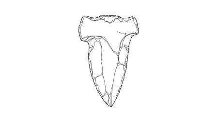 A black and white line art illustration of a jellyfish with a bell and long, trailing tentacles. The details are intricate.の素材