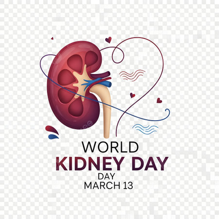 A graphic celebrating World Kidney Day, featuring a detailed illustration of a human kidney with decorative elements and text.の素材