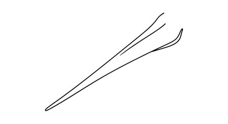 A minimalist line drawing of a feather, presented diagonally with fine, flowing lines and a textured outline on a plain white surface.の素材