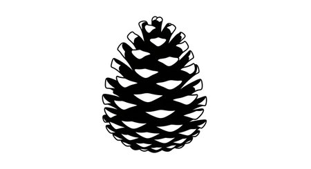 A striking, high-contrast illustration of a pine cone rendered in black and white with intricate detail on its scales.の素材
