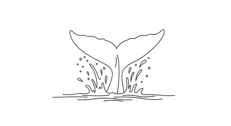 A black and white sketch of a whale's tail fin emerging from a splash of water, with a simple line drawing of waves below.の素材
