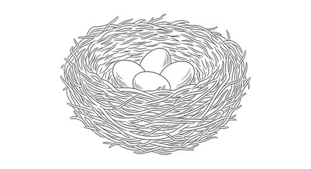 A black and white illustration of a woven bird's nest containing three oval-shaped eggs, depicted with fine line detail.の素材