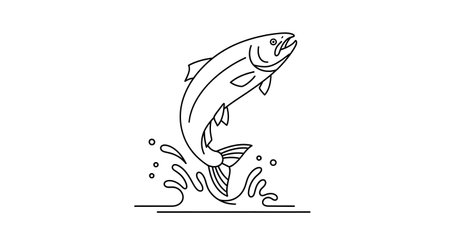 A simple black and white line drawing of a salmon jumping energetically from stylized water splashes.の素材