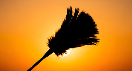 A dark silhouette of a plant's seed head, possibly a thistle or dandelion, is set against a bright, gradient orange sunset.の素材