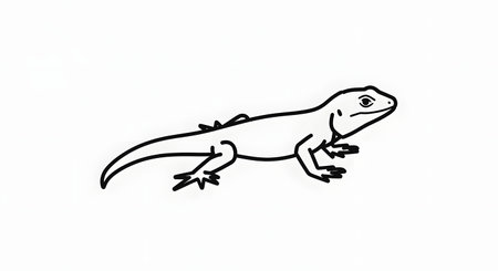A minimalist black and white line drawing of a small lizard with its tail curved upwards and its body angled to the right.の素材