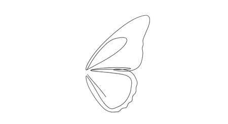 A minimalist line drawing of a butterfly wing with a mirrored reflection below it on a clean white surface.の素材