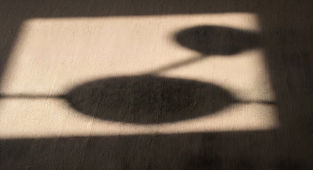 Sunlight creates distinct shadows of two balloons on a textured, light-colored surface, suggesting a warm, bright day.の素材