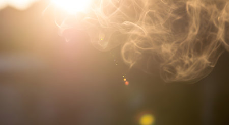 Warm, hazy sunlight bathes the scene, with delicate strands of smoke catching the golden light. Soft focus creates an ethereal atmosphere.の素材