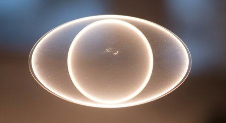 A macro photograph reveals the intricate details of an egg cell, showcasing its outer membrane and internal yolk structure illuminated from within.の素材