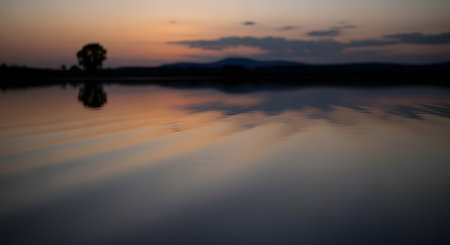 A solitary tree's silhouette stands against a colorful sunset, perfectly mirrored in the still water below.の素材