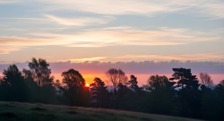 A breathtaking sunset paints the sky with fiery orange and soft pink hues, silhouetting a line of trees against the horizon.の素材