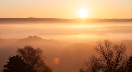 A warm, golden sunrise illuminates a vast expanse of rolling hills shrouded in soft, ethereal mist, with silhouetted trees in the foreground.の素材