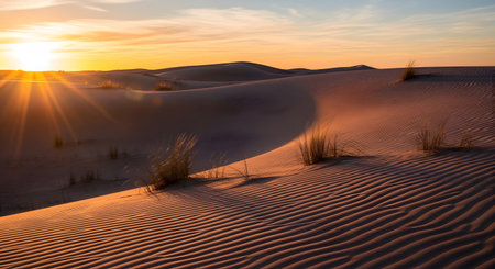 A warm sunset casts long shadows across rippled sand dunes, with the sun's rays breaking through the horizon.の素材