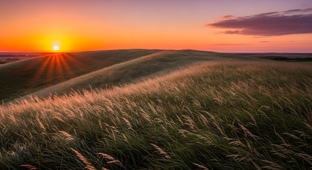 A vibrant sunset casts a warm glow over undulating hills covered in tall, wind-swept grass, creating a breathtaking natural landscape.の素材