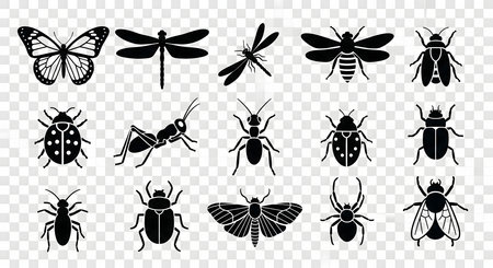 A diverse collection of black insect silhouettes, including butterflies, dragonflies, beetles, ants, and spiders, arranged on a transparent background.の素材