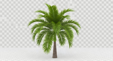 A detailed 3D rendering of a vibrant green palm tree with a textured trunk and full fronds, isolated on a transparent background.の素材