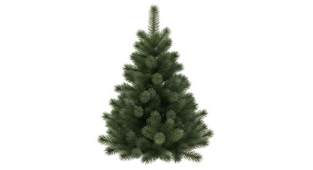 This image features a solitary, undecorated artificial Christmas tree standing tall against a white background. Its branches are full and green.の素材