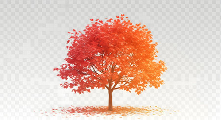 A solitary tree displays a brilliant spectrum of red and orange leaves, with scattered foliage on the ground, set against a transparent backdrop.の素材