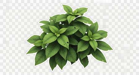 A vibrant green bush with abundant foliage and many leaves is presented on a transparent background, showcasing its natural beauty.の素材