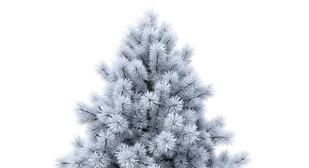 A close-up view of the top portion of a flocked artificial pine Christmas tree, presented against a stark white backdrop.の素材