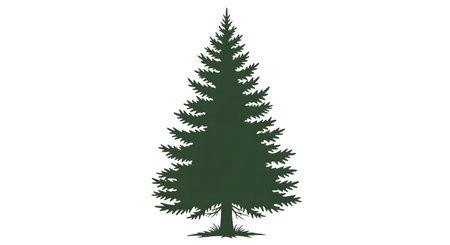 A dark green silhouette of a tall, slender evergreen tree with dense foliage and a pointed top, isolated on a white background.の素材