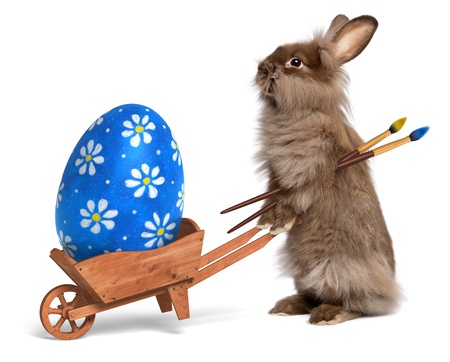 Cute Easter bunny rabbit with a little wheelbarrow and a blue painted Easter egg, isolated on white, CG+photoの写真素材