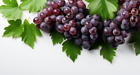Bunch of fresh grapes with green leaves on white background, top viewの素材