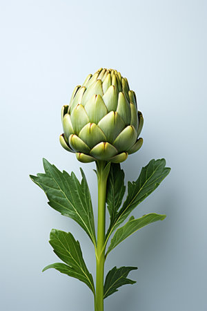 Artichoke flower on a blue background. 3d illustration.の素材