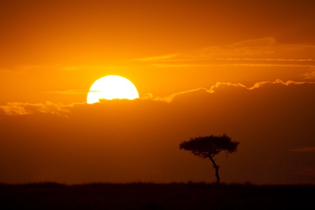 Sunrise over the plains of East Africa, Maasai Mara National Reserve, East Africaの写真素材