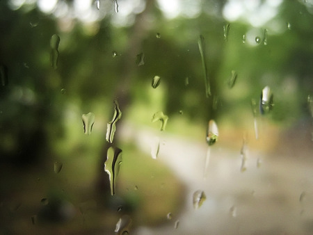 Raindrops on the windowの写真素材