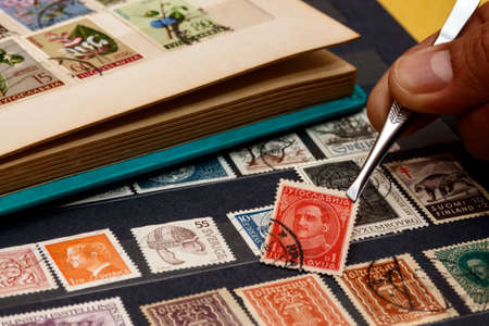 the philatelist holds the postage stamp using tweezers above the stamp albumのeditorial素材