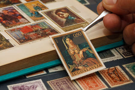 the philatelist holds the postage stamp using tweezers above the stamp albumのeditorial素材