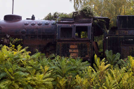 Nis, Serbia - October 23, 2021: Abandoned "Berliner Maschinenbau AG" steam locomotive made in 1930 surrounded by grass, pictured on cloudy fall day, in Nis, Serbia. Photo Taken On: October 23th, 2021.
 Adobe RGB color space.のeditorial素材